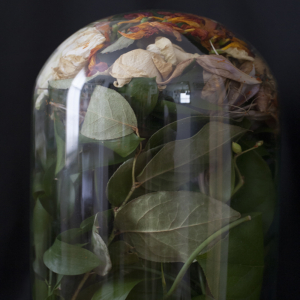 Dried Flowers in a Jar